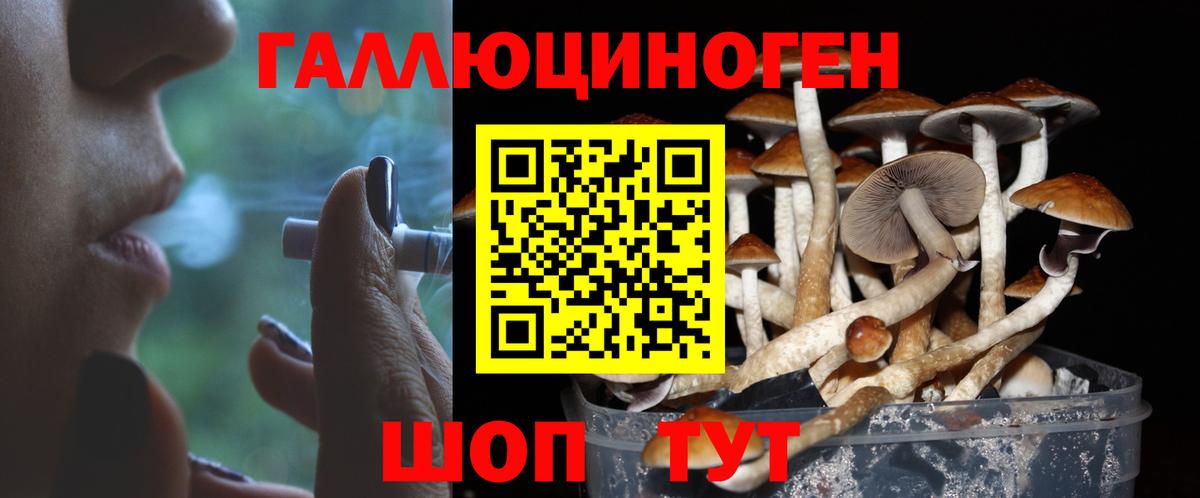 Псков  Галлюциногенные грибы ЛСД  хочу   Вход с VPN 